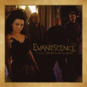     Evanescence - Call me when you're sober