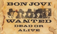 Текст и перевод песни Bon Jovi - Wanted dead or alive