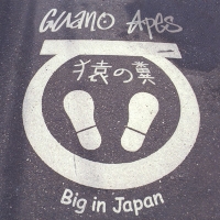 Текст и перевод песни Guano Apes - Big in Japan