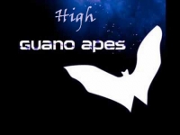 Текст и перевод песни Guano Apes - High