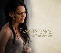 Текст и перевод песни Evanescence - Good enough