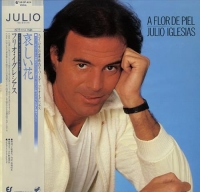 Текст и перевод песни Julio Iglesias - Como tú 
